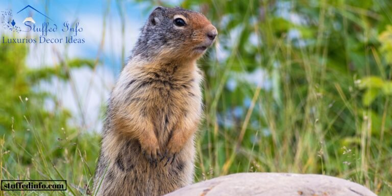 how to get rid of gophers