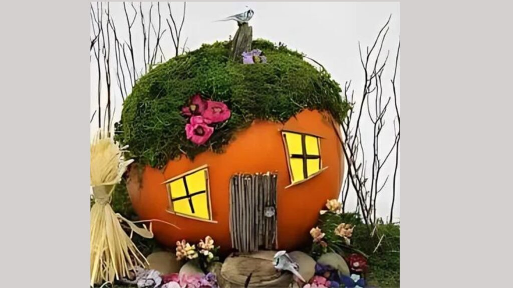 Pumpkin Fairy Gardens