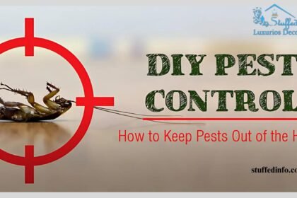 diy pest control