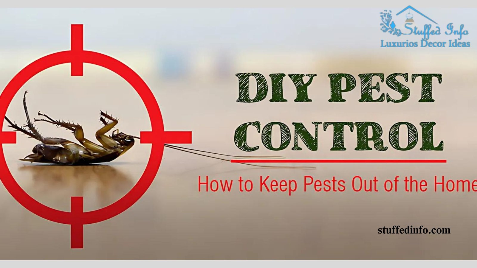 DIY Pest Control: Easy And Effective Methods