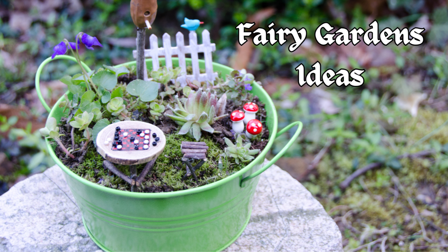 Fairy Gardens