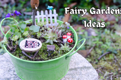 Fairy Gardens