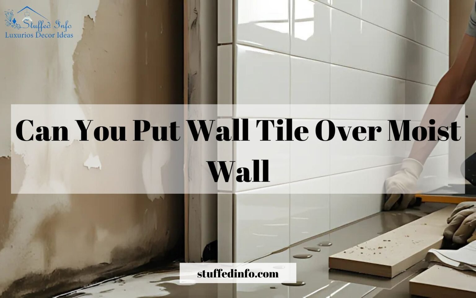 can you put wall tile over moist wall