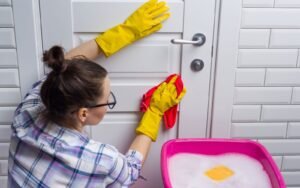 how to clean a painted wood door