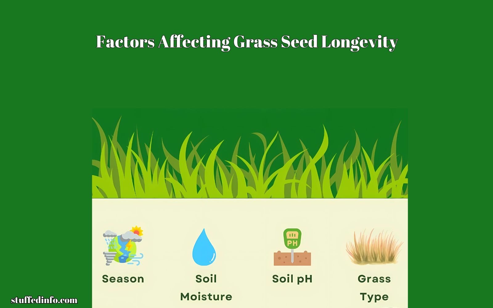 Factors Affecting Grass Seed Longevity