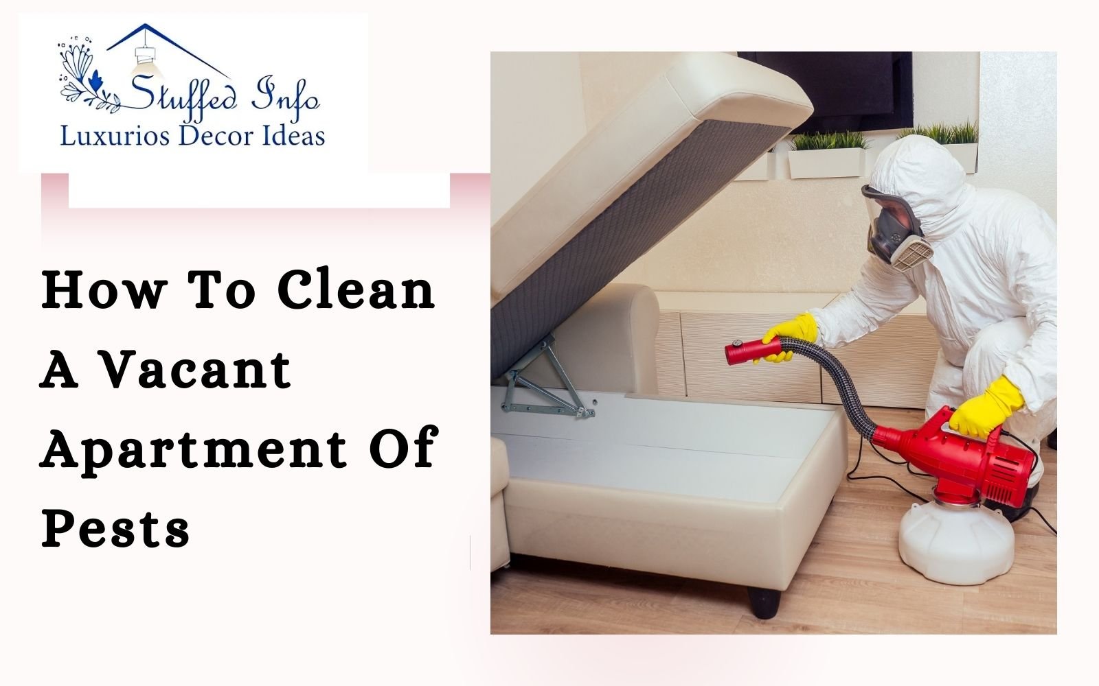 How To Clean A Vacant Apartment Of Pests