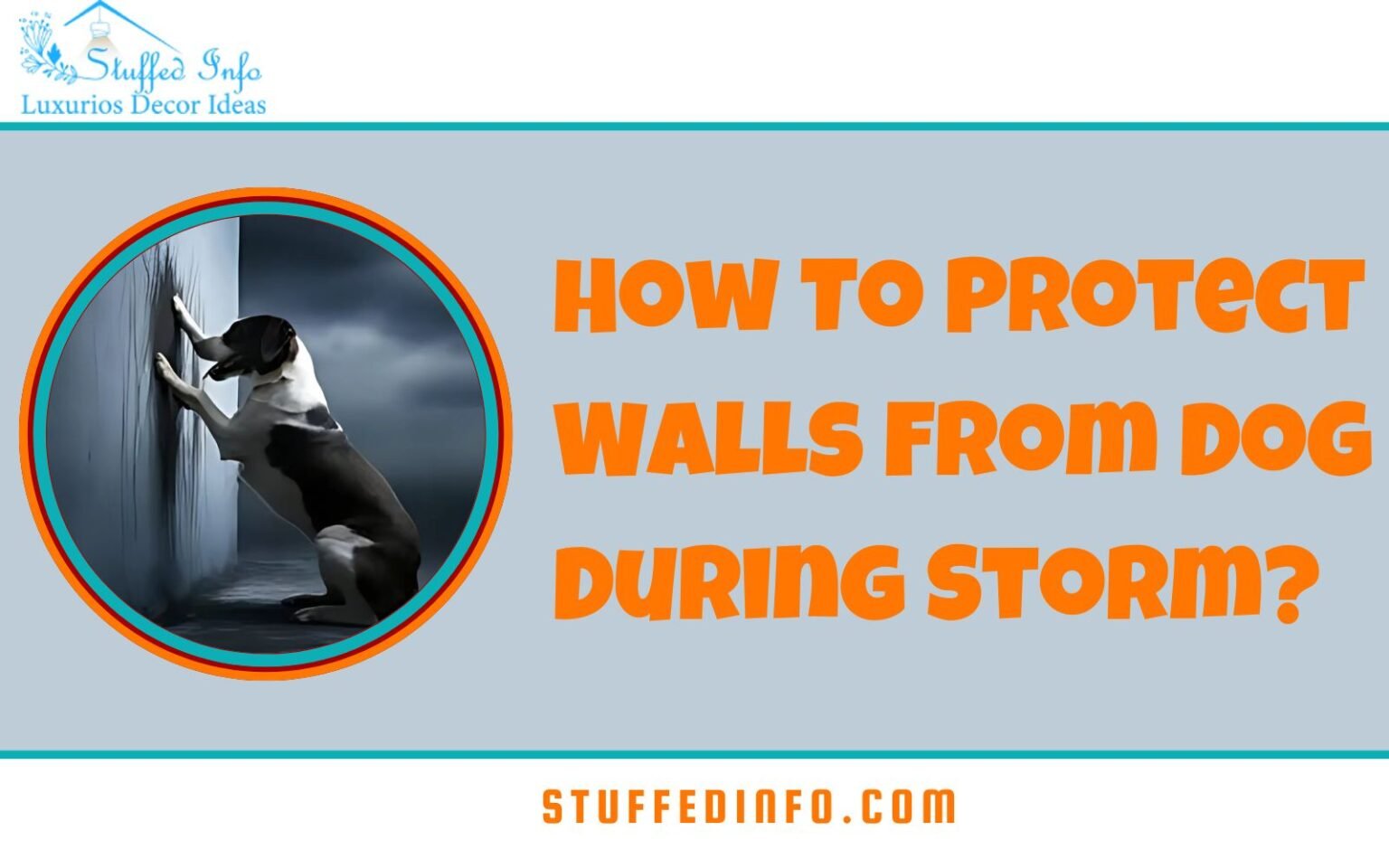 How To Protect Walls From Dog During Storm?