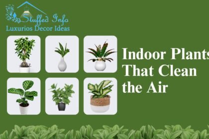 good indoor plants that clean the air