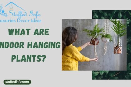 Indoor Hanging Plants