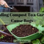 bedding compost to a garden cause bugs