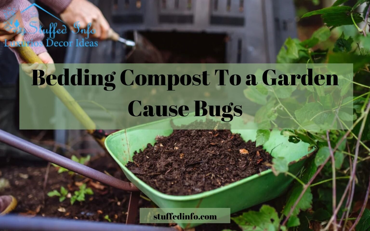 bedding compost to a garden cause bugs