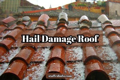 Hail Damage Roof