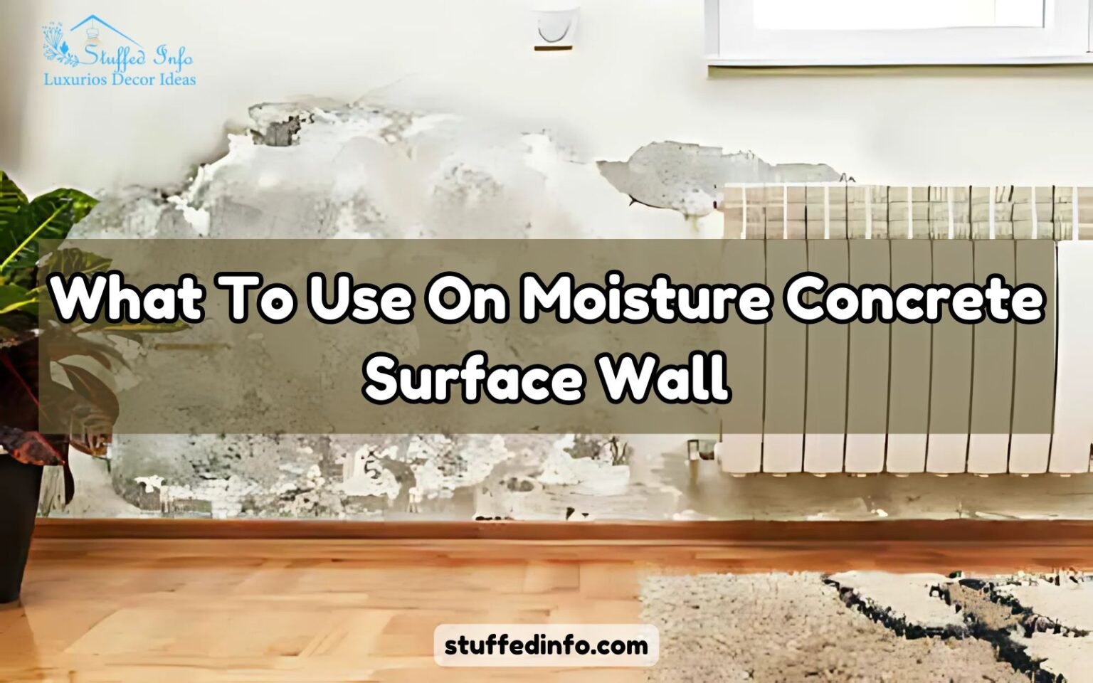 What To Use On Moisture Concrete Surface Wall