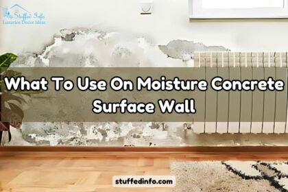 What To Use On Moisture Concrete Surface Wall