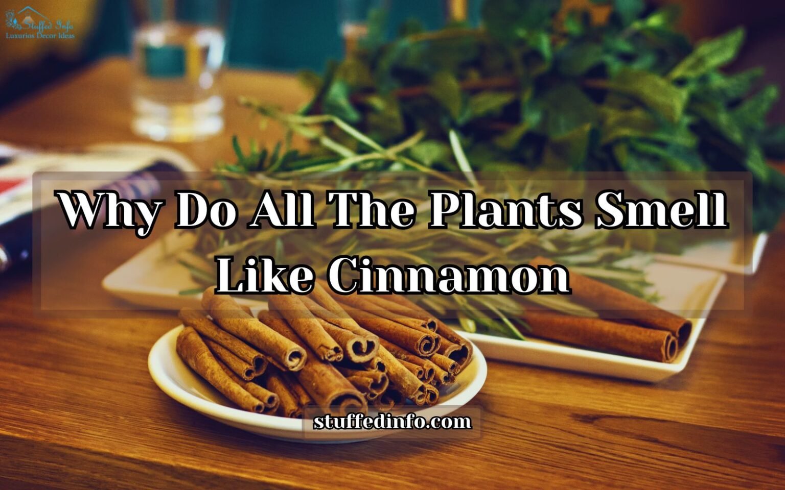 Why Do All The Plants Smell Like Cinnamon