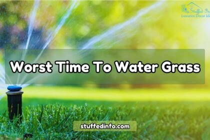 Worst Time To Water Grass