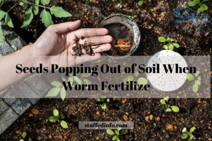 Seeds Popping Out of Soil When Worm Fertilize