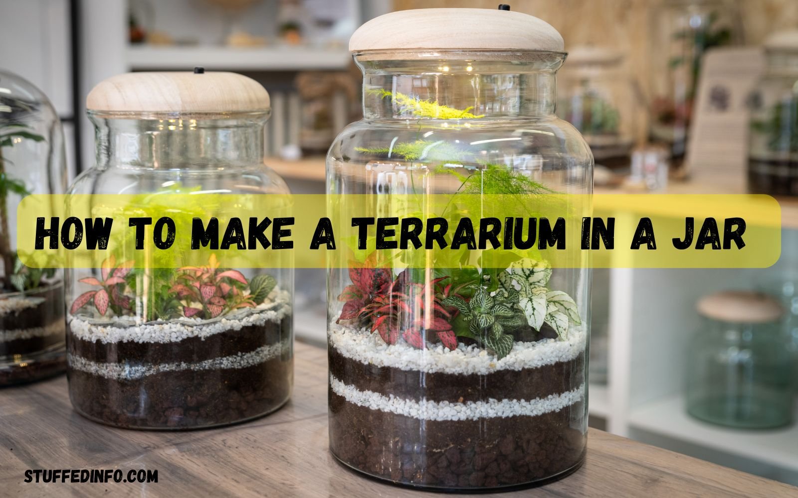 How To Make A Terrarium